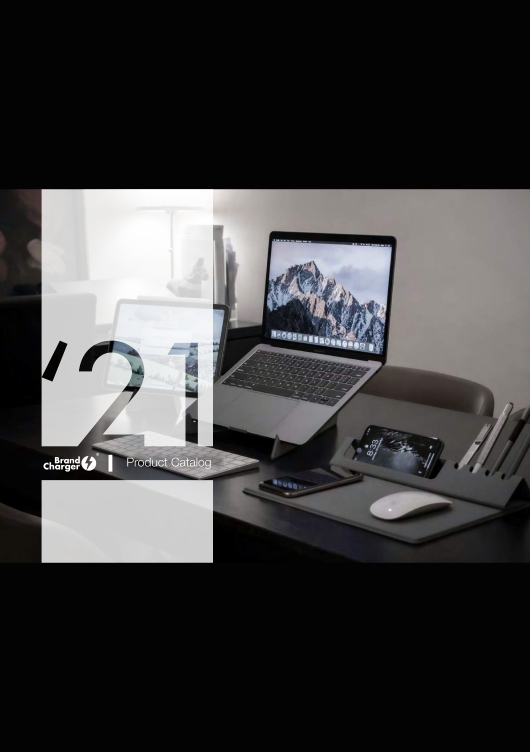 Catalog Brand Chargers